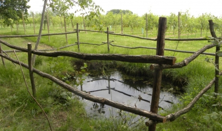 Bosa in estate - Foto M. Perroni