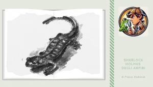 La Salamandra di Lanza, anfibio doc in pericolo d&rsquo;estinzione