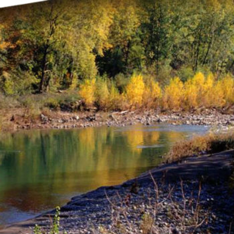 Il parco di Montemarcello Magra Fonte: il sito web del parco