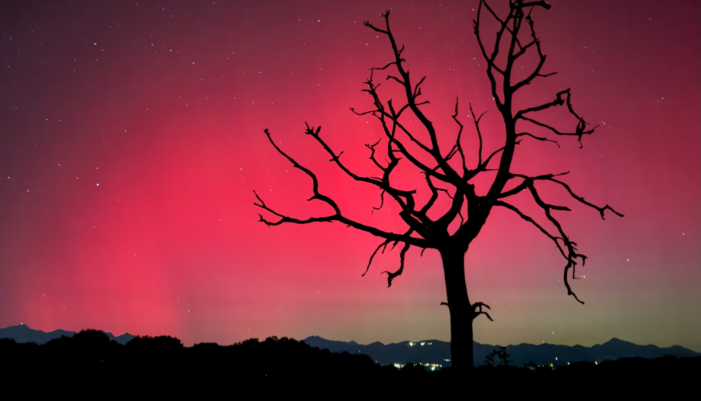 Aurora boreale in Baraggia nella notte tra il 10 e l'11 ottobre 2024 | Foto S. Costa