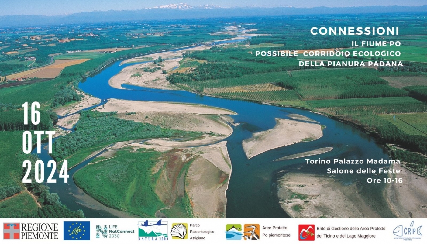 Foto aerea di Carlo Lenti  