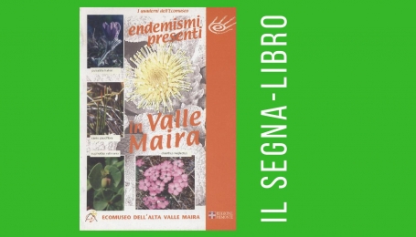 Endemismi presenti in Valle Maira