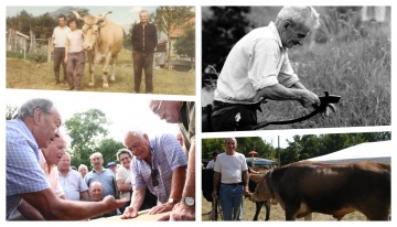 In senso orario, dall'alto a sinistra: Giovanni e Maria, Giovanni con la falce, Tonino e il suo bue, il gioco della morra a Capanne di Marcarolo - Foto Archivio APAP