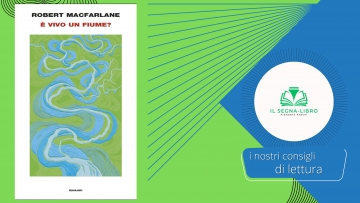 Un viaggio tra acqua, diritto e bellezza