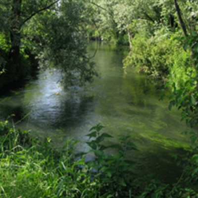 La risorgiva Doretta Morta Foto Toni Farina