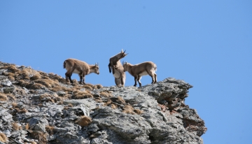 Giocare &egrave; una cosa seria