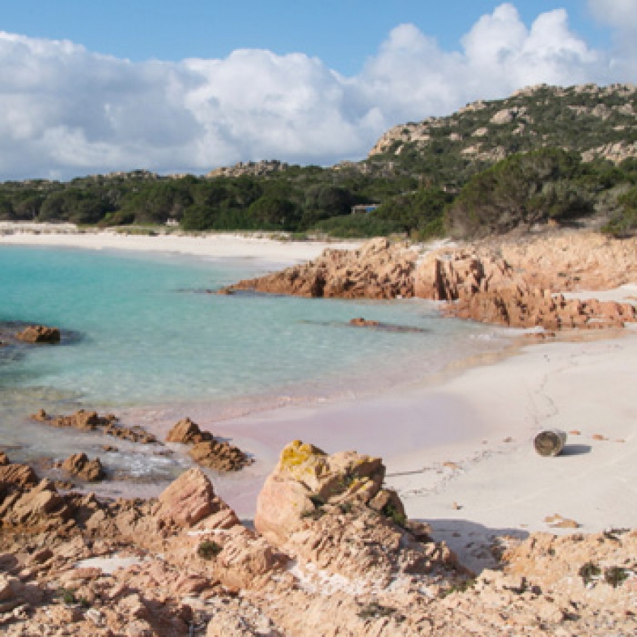 Un lieto fine e un nuovo progetto per l'isola di Budelli