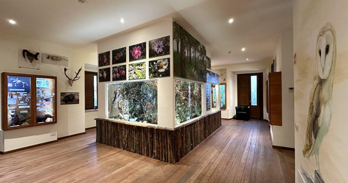 Una delle sale del Museo - Foto p.g.c. del CEA 