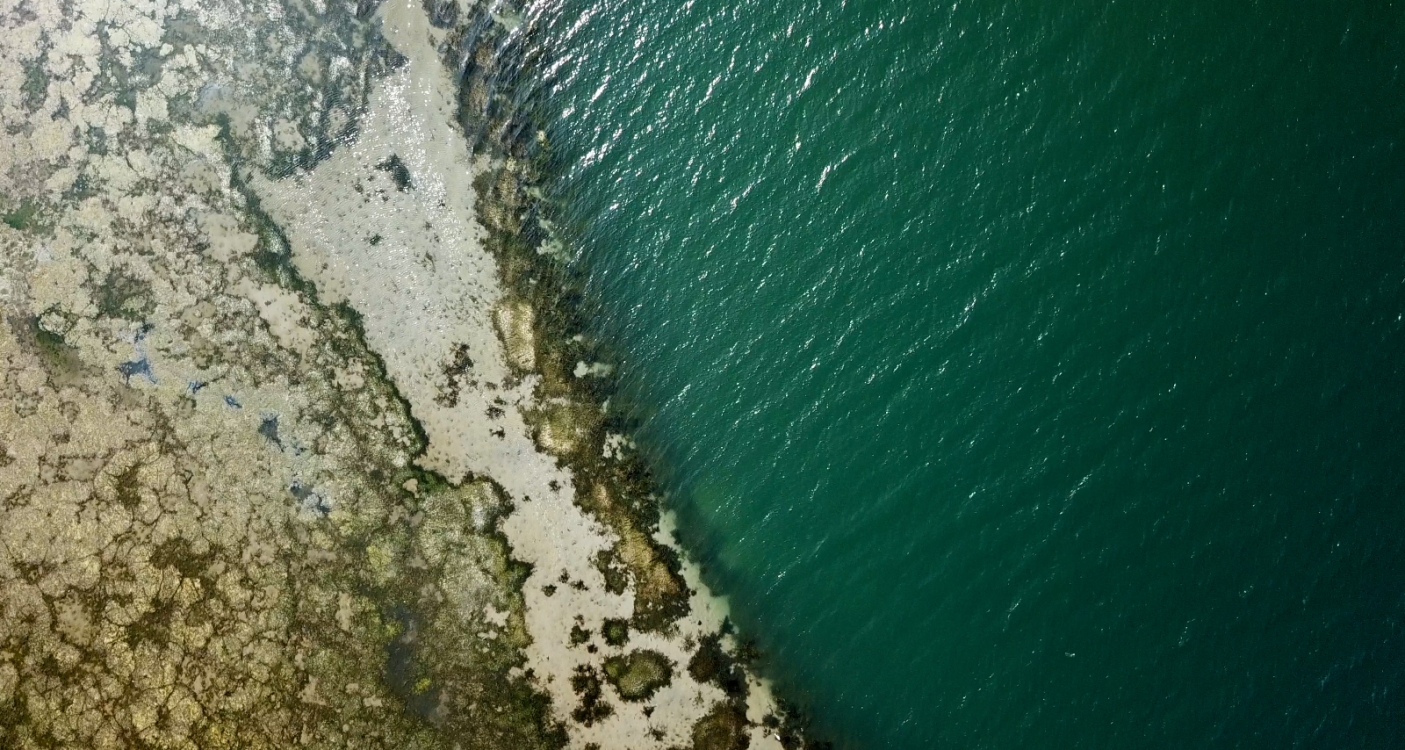 Il Ticino in una foto del progetto Interreg "Verbano - Ticino" - foto di Marco Tessaro
