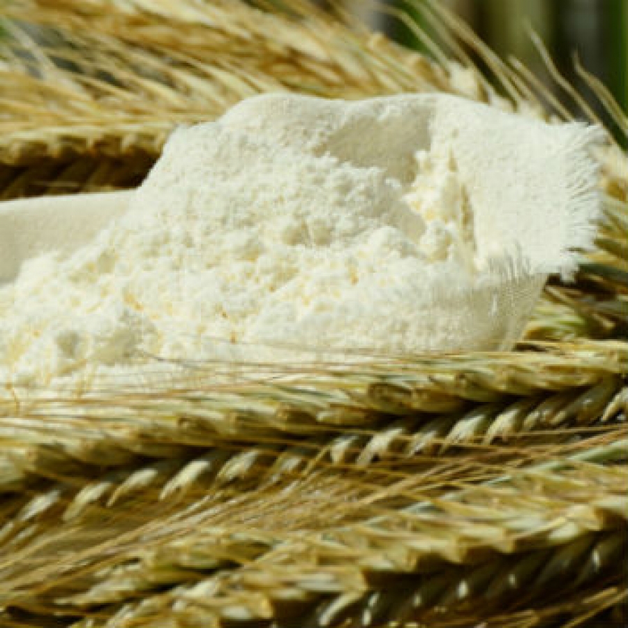 I Sentieri del Gusto nel Parco Val Grande