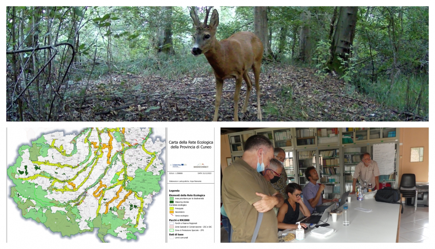 Muore chi non si muove