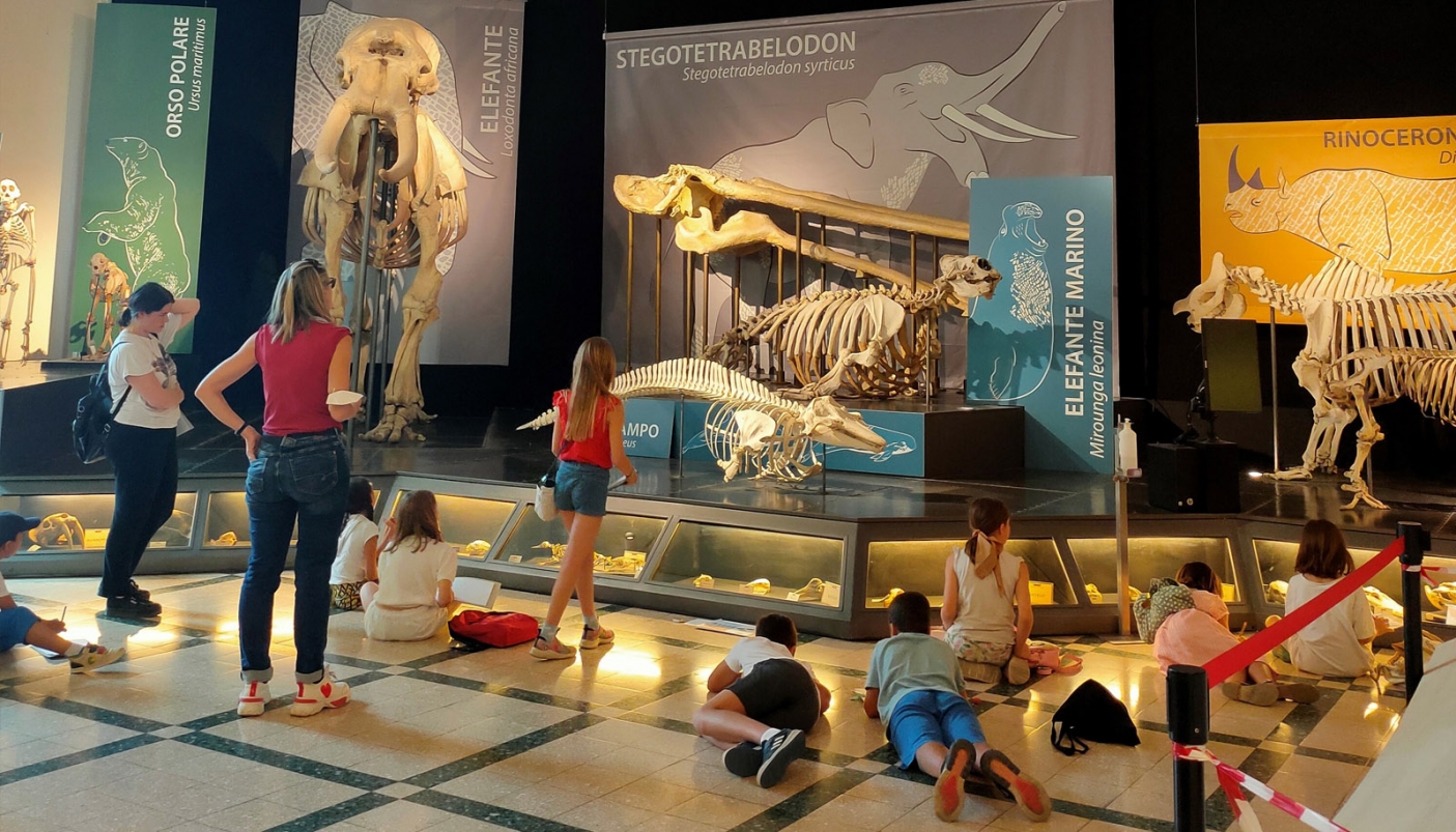 Evento con i bambini in Sala Scheletri  