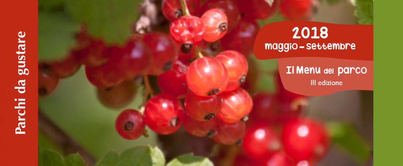 A pranzo e a cena lungo il Po