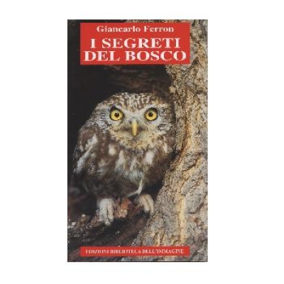 I segreti del bosco.