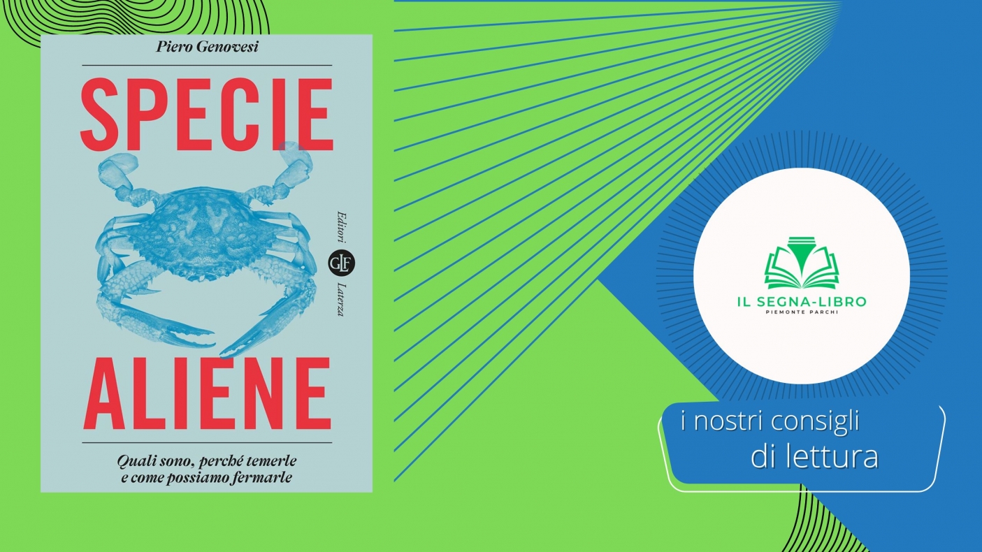 Specie aliene: un problema complesso e la sua difficile gestione