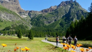 Immagine del Progetto LiveAlpsNature