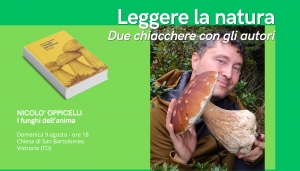 Scopriamo l'anima dei funghi con Nicol&ograve; Oppicelli