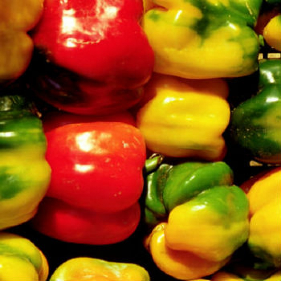 Peperoni in salsa di acciughe