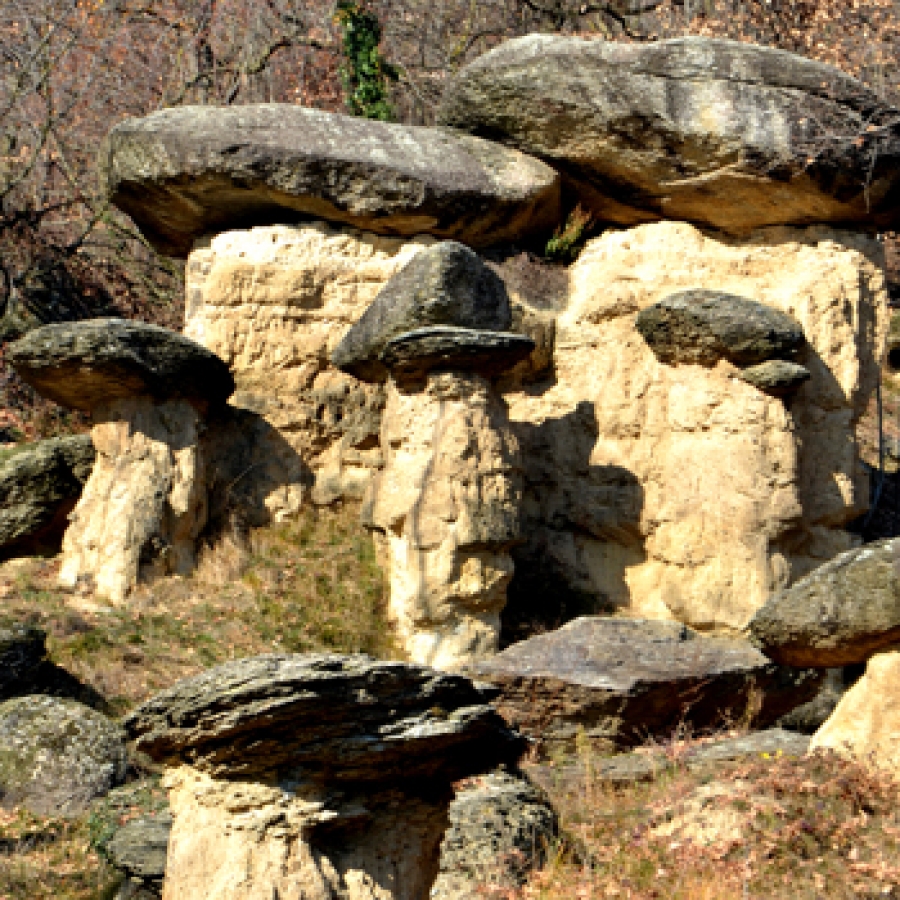 I ciciu del Villar foto A.Molino