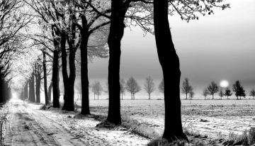 Mauro Pianta, giornalista dal cuore gentile