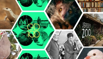 Collage p.g.c. Durrell Wildlife Conservation Trust 