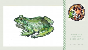 Disegno di F. Andreone