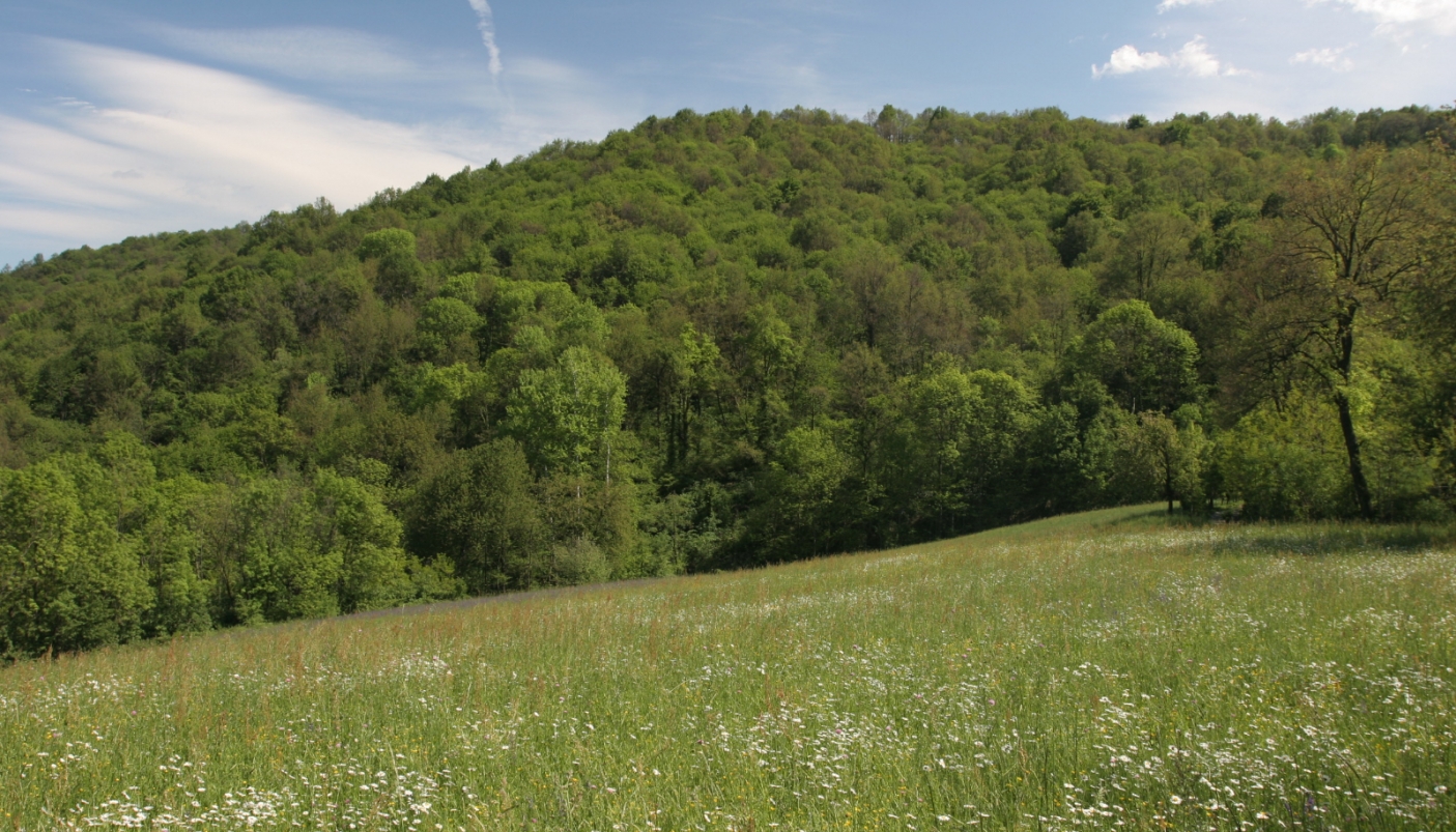 Il Bosco del Vaj - Foto T. Farina 