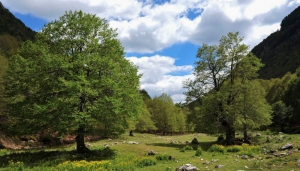 Un panorama del Parco nazionale di Abruzzo, Lazio e Molise - Foto A. Iannarelli