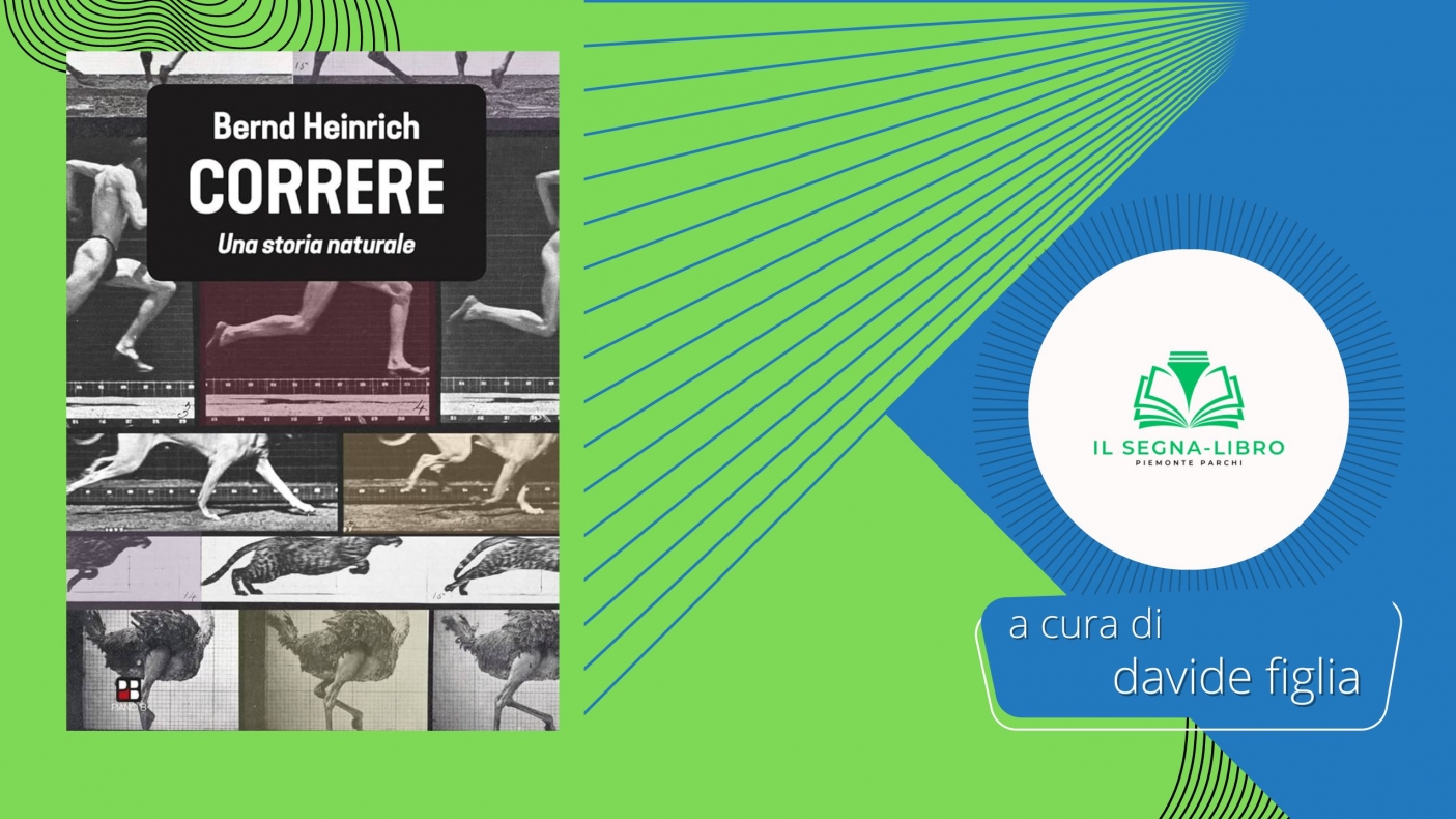 Corsa e biologia: un inno alla resistenza umana