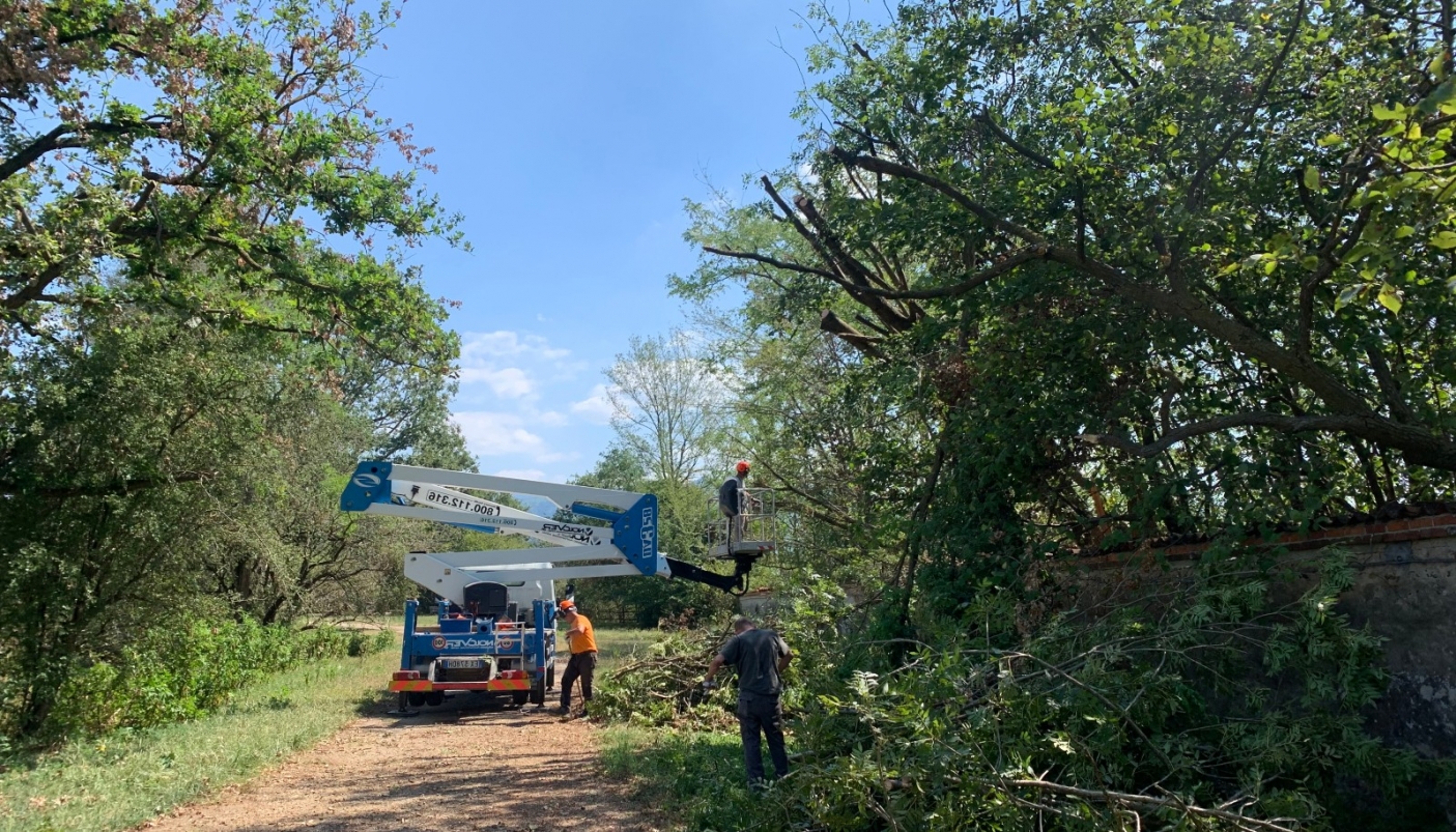 Le squadre forestali della Regione Piemonte al lavoro | foto arc. Parco La Mandria 
