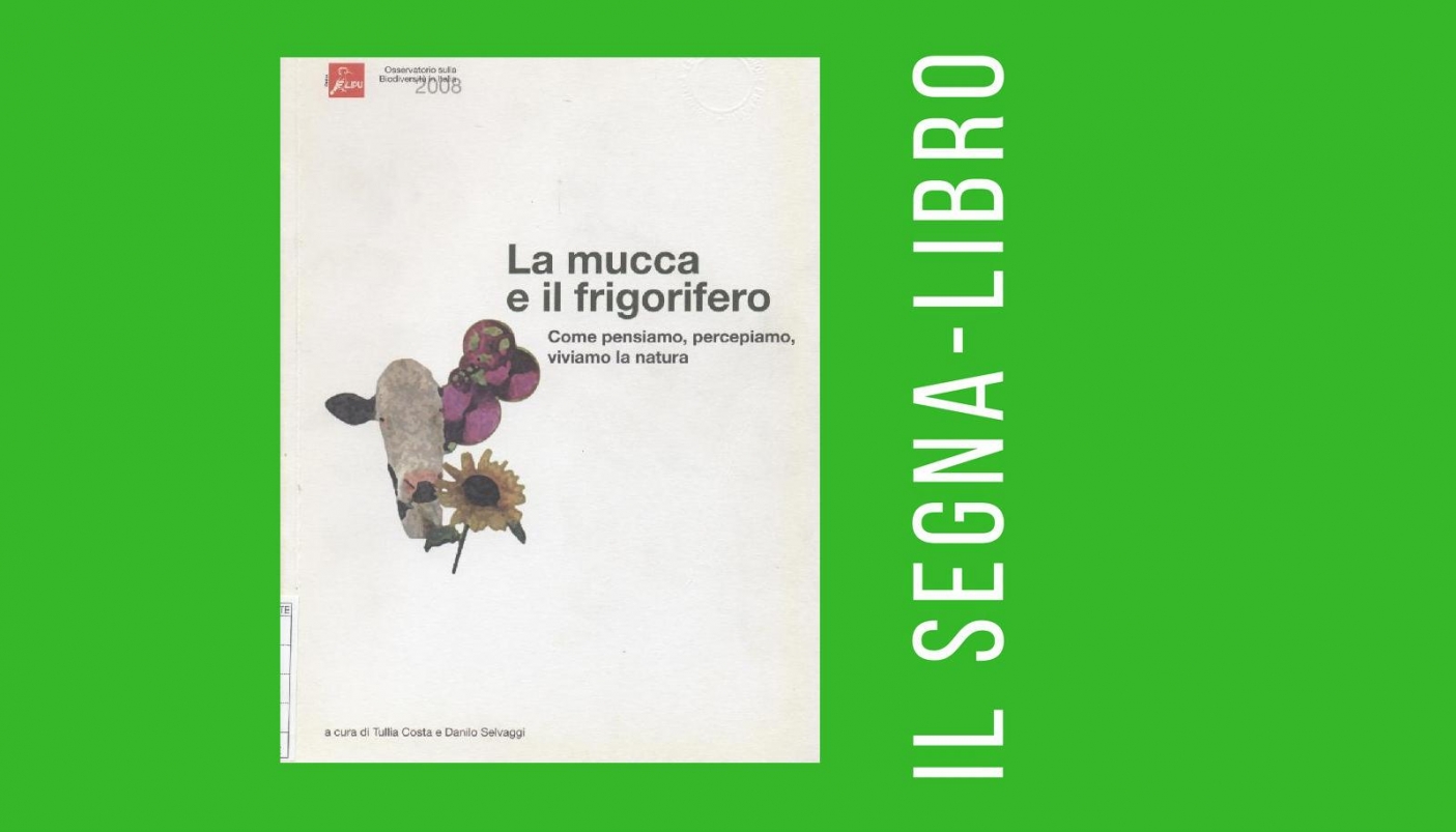 La mucca e il frigorifero