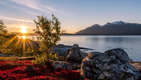 Veduta del parco nazionale svedese di Stora Sj&ouml;fallet - Foto R. Haasmann dal sito www.sverigesnationalparker.se 