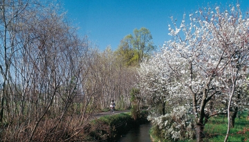 Sulla Ciclostrada della Stura e del Banna, tra Ciri&egrave; e Nole Foto T. Farina