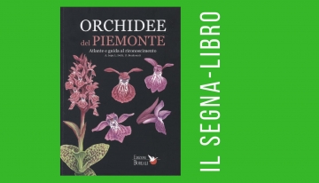 Orchidee del Piemonte