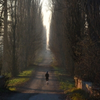 Visitare Borgo Cornalese