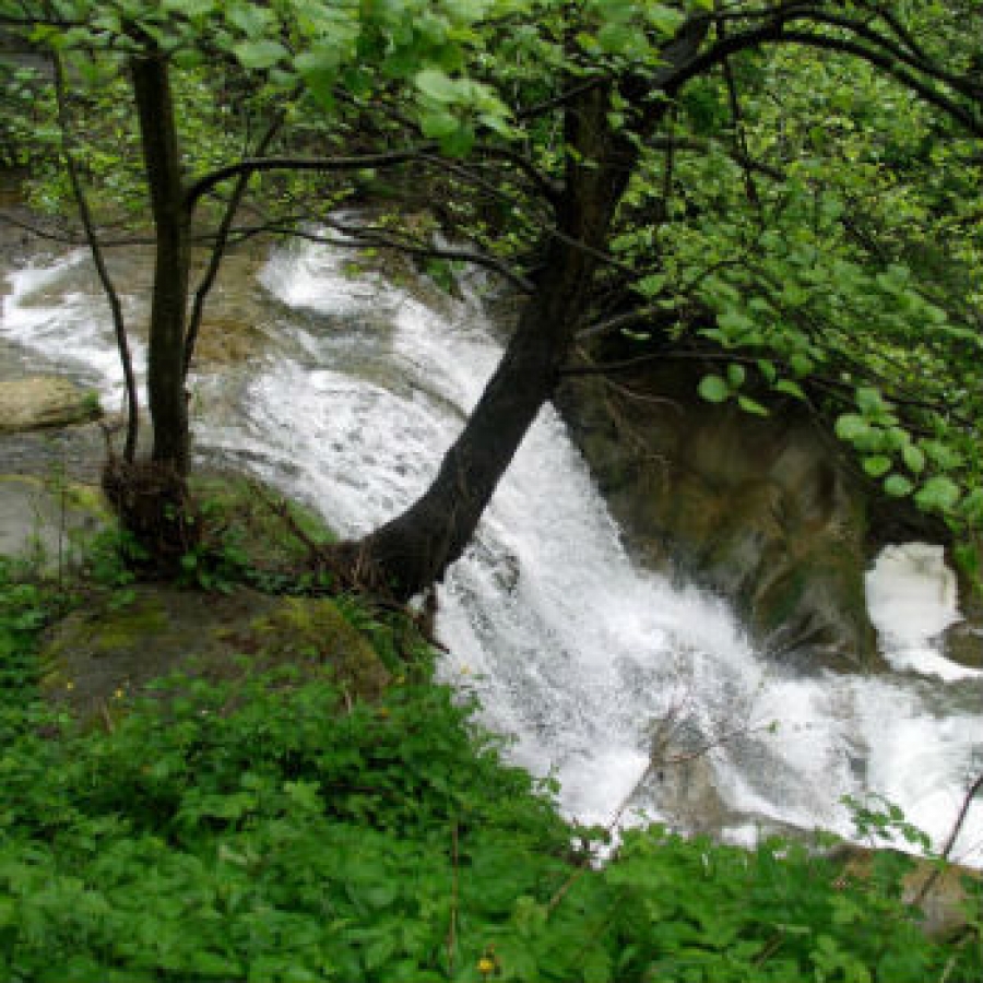 Il Grand Tour fa tappa alla Riserva del Neirone