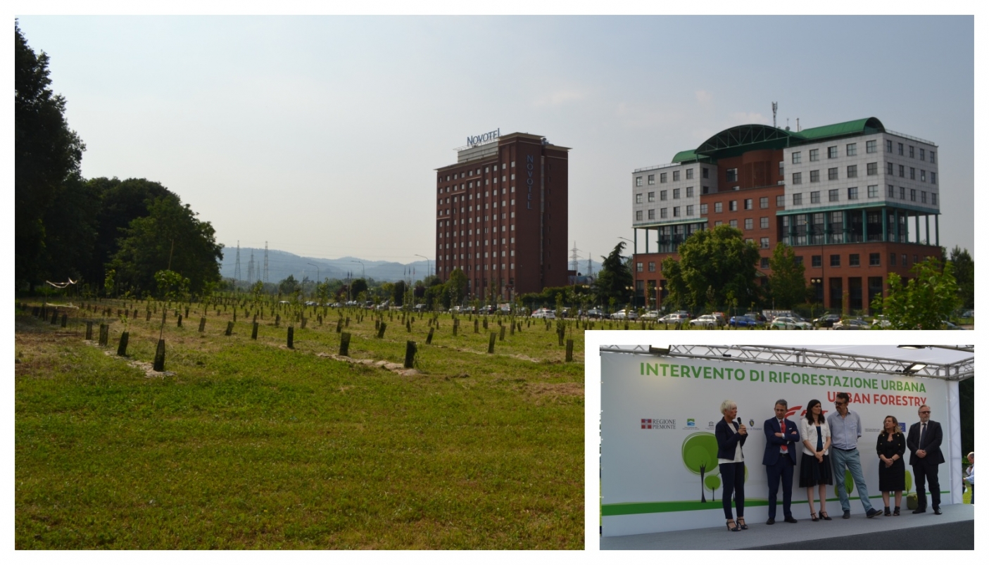 Le 1000 piante messe a dimora nel Parco Stura e un momento dell'inaugurazione dell'intervento di riqualificazione (Foto D. Chiantore)