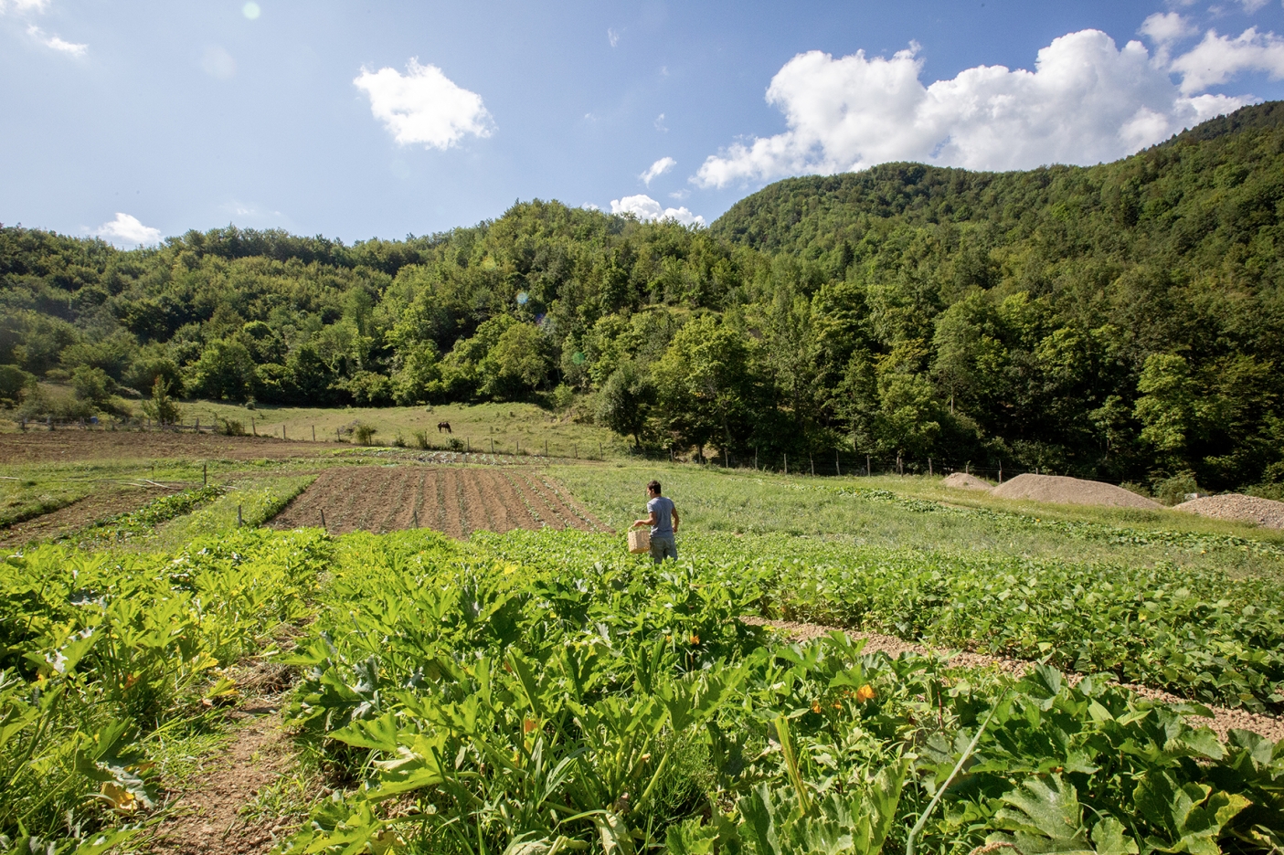 Nicola, uno dei gestori del "Poderone", al lavoro nei campi - Foto C. Reali
