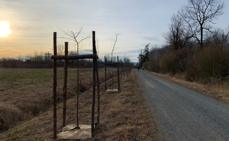 Tramonto sul Parco La Mandria - Foto S. Grella 