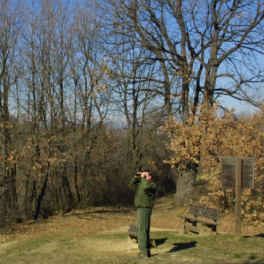 Su cinghiali e biodiversit&agrave; si sono concentrati i guardiaparco del Po torinese