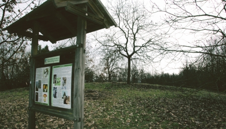 Bric Tre Vescov, cos&igrave; denominato perch&eacute; era punto di confine tra tre differenti giurisdizioni vescovili. Un cas&ograve;t troneggia nel mezzo della natura vestita d&rsquo;inverno.  | Foto A. Bruno