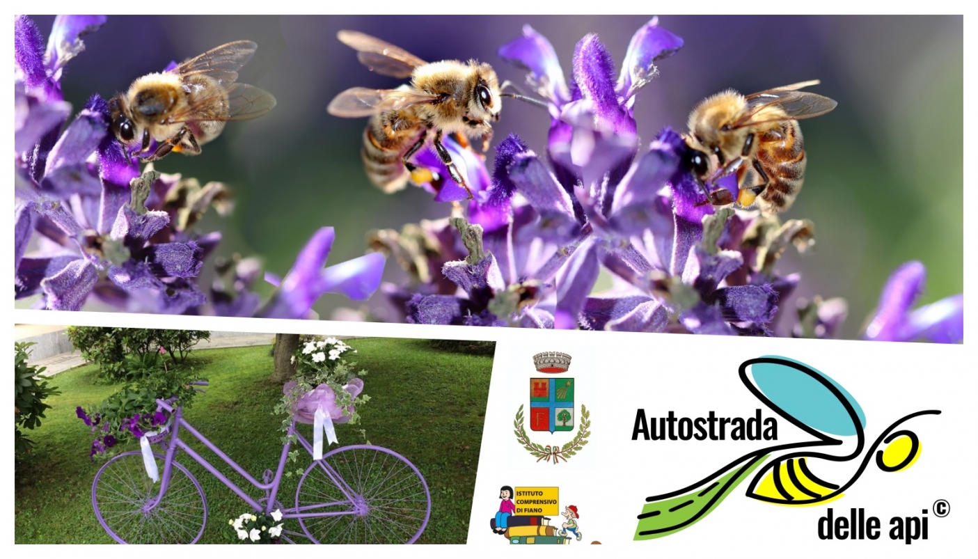 Tutti a bordo! Si parte per l'autostrada delle api