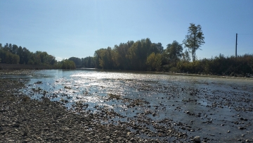 L'inizio del percorso, lungo il Torrente Scrivia | Foto A.M. Bruno 