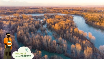 Esempio dell'utilit&agrave; di bacini di laminazione e vegetazione riparia nel contenimento degli effetti delle alluvioni - Ticino nei pressi di Zerbol&ograve; (PV) - Foto p.g.c. R. Motta