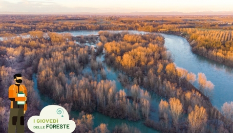 Esempio dell'utilit&agrave; di bacini di laminazione e vegetazione riparia nel contenimento degli effetti delle alluvioni - Ticino nei pressi di Zerbol&ograve; (PV) - Foto p.g.c. R. Motta