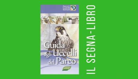 Guida agli uccelli del parco