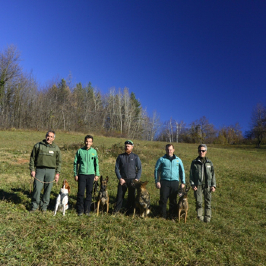 Bocconi avvelenati? Chiama il 1515