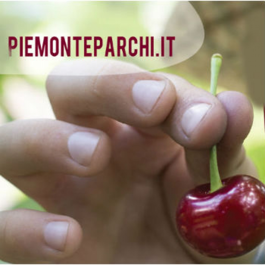 Parchi da gustare - Il Menu del Parco