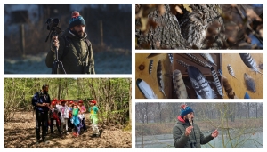 Da sx in alto (senso orario): Gianluca con la sua camera (Foto A. Girodo), Allocco nel parco La Mandria e collezione di penne (Foto G. Simonetta), Gianluca con penna di allocco e durante un'escursione nel Parco (Foto  A. Girodo)