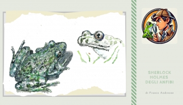 Il "giallo" del pelodite punteggiato